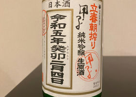 alt 1