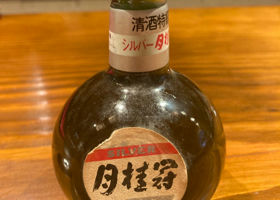 alt 1