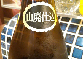 alt 3