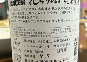 alt 3