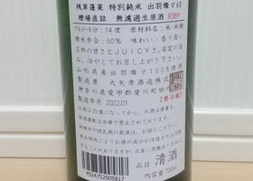alt 3