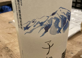alt 1