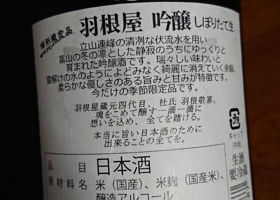 alt 3