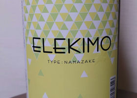 ELEKIMO チェックイン 1