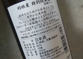alt 3