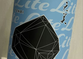 alt 1