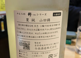 alt 3
