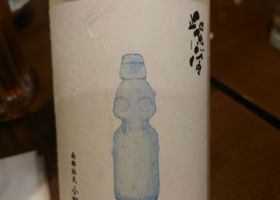 alt 1