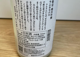 alt 3