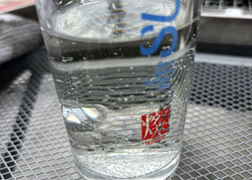alt 3