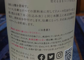 alt 3