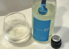alt 1