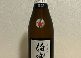 alt 3