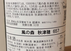 alt 3