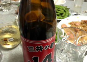 alt 1