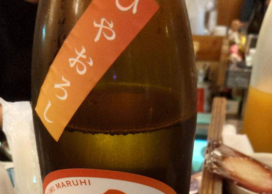 飛良泉 チェックイン 1