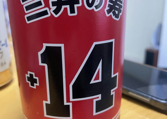alt 1