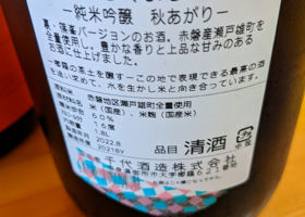 alt 2
