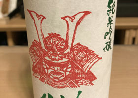 alt 1