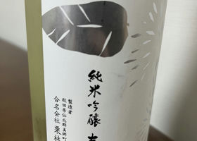 alt 3