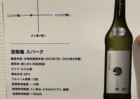 新政