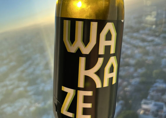 WAKAZE Check-in 1