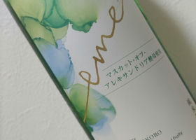alt 2
