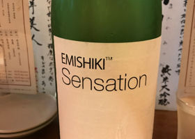 Emishiki 签到 1