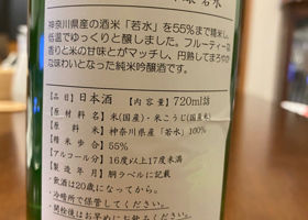 alt 2