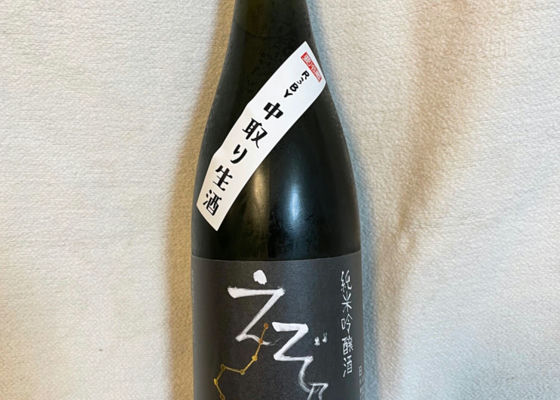 alt 1