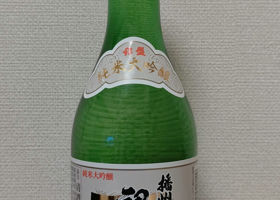 alt 1