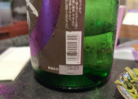 alt 3