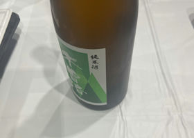alt 3