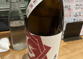 alt 1