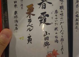 alt 3