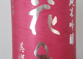 alt 1