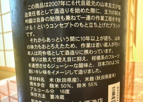 alt 3