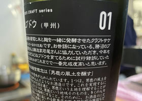 alt 3
