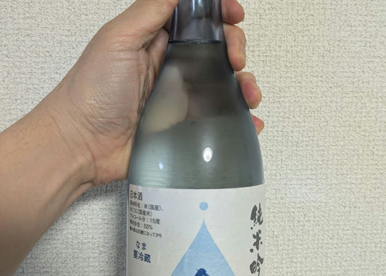 alt 1