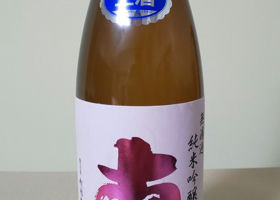 alt 1