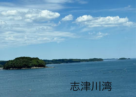 alt 4