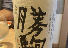 alt 1