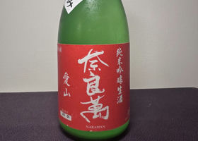 alt 1