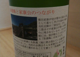 alt 2
