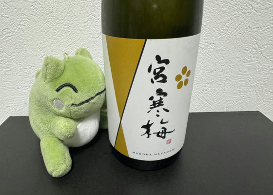 宮寒梅