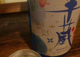 alt 3
