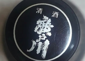 alt 3