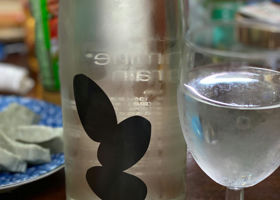 alt 1