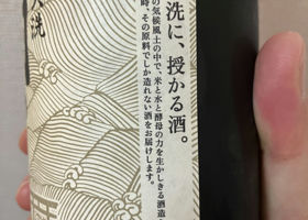 alt 3