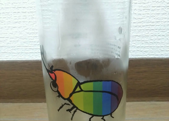 alt 1